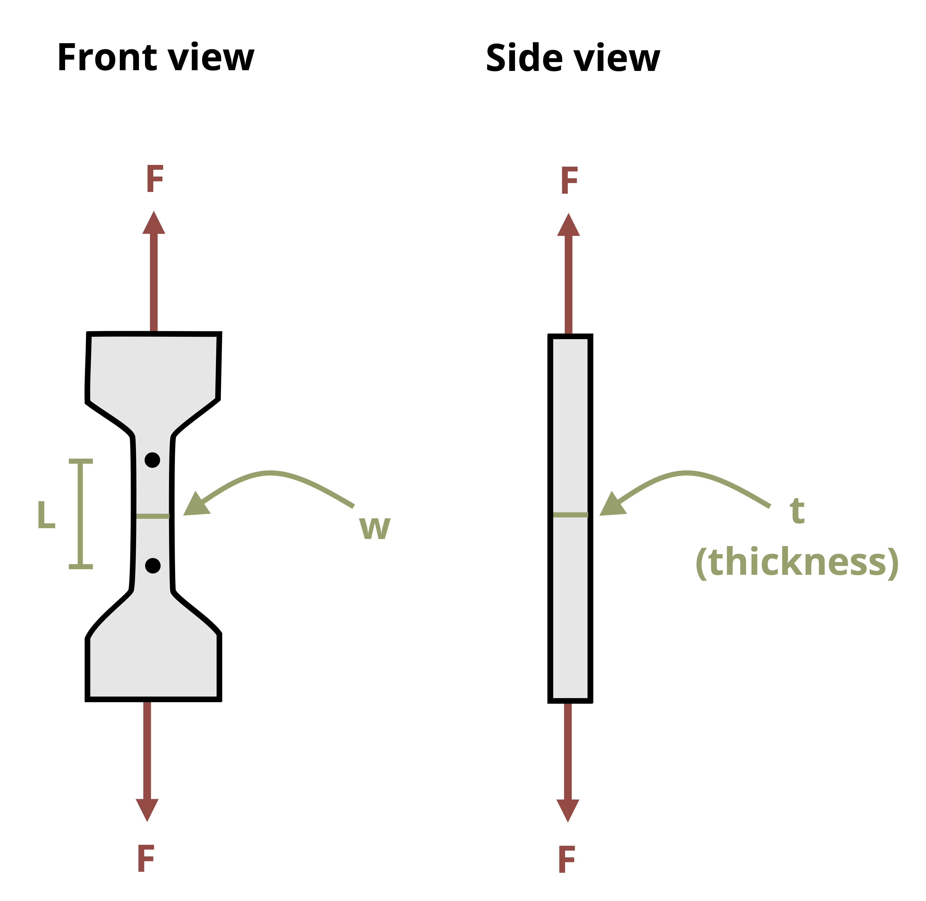 Picture of dog bone shaped polymer test specimen is pulled from the top and bottom. The length, L, represented the distance between two points in the center of the speciment. The width, w, is the distance across the middle of the dog bone.