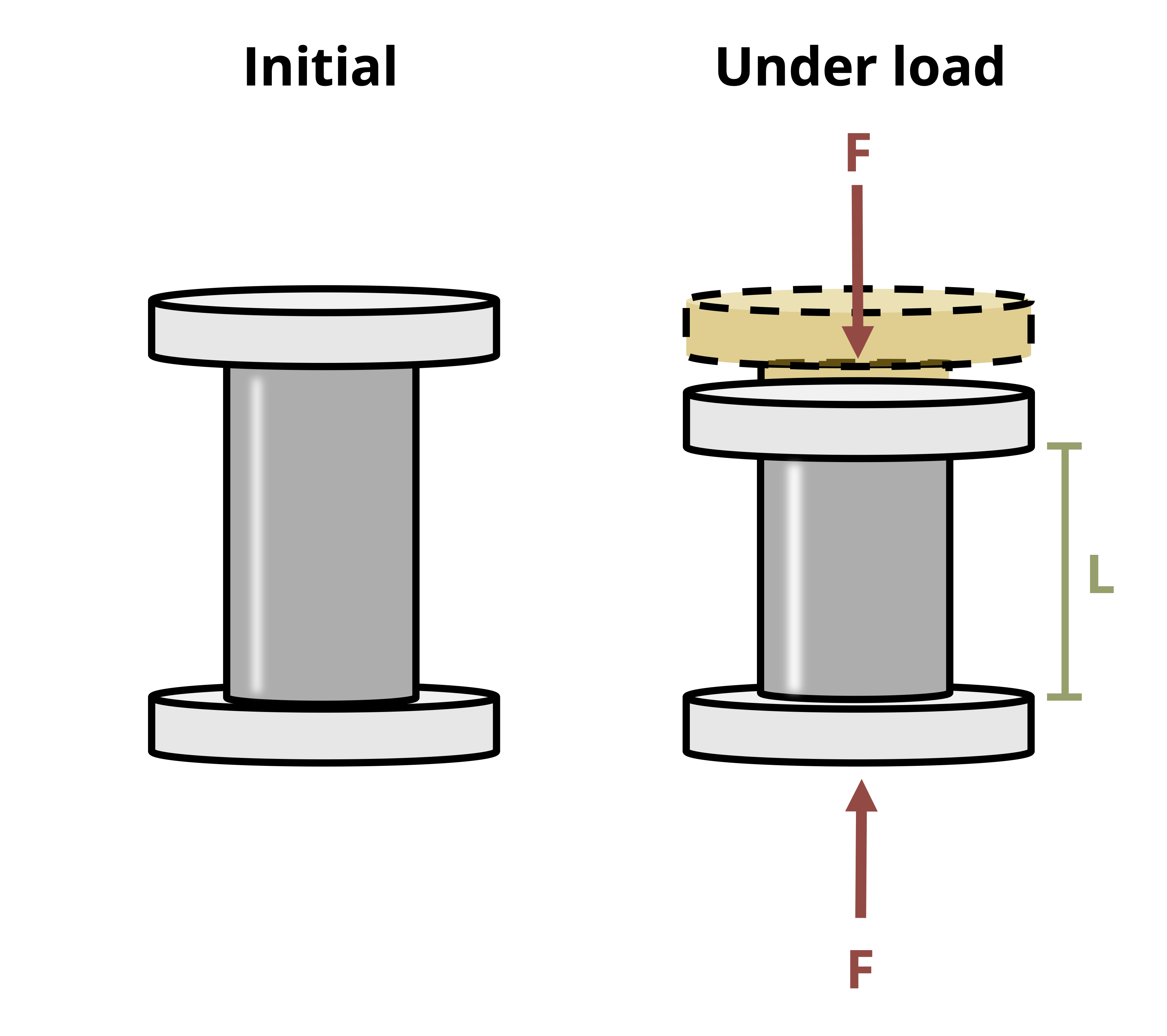 Picture with a rubber cylinder experiencing a deflection. Under load F, the cylinder is height L.
