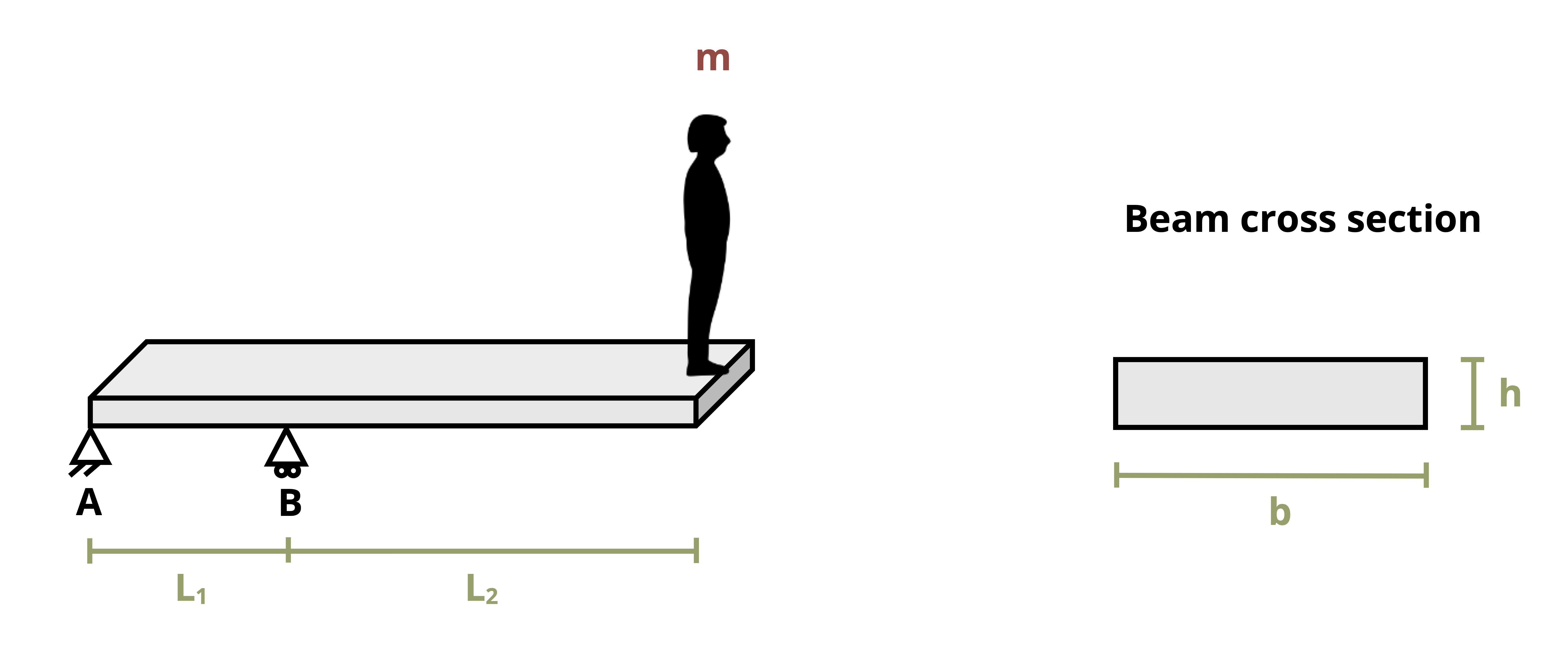 A diving board of length L1+L2 has a person of mass m standing on the right side. The distance from the first pin to the second pin is L1 and the distance from the second pin to the right end is L2. The beam has a rectangular cross section of height h and width b.